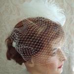 Paris Chic Tulle Birdcage V..
