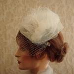 Paris Chic Tulle Birdcage V..