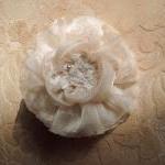 Champagne Hair Flower Hair ..