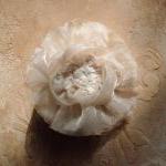 Champagne Hair Flower Hair ..